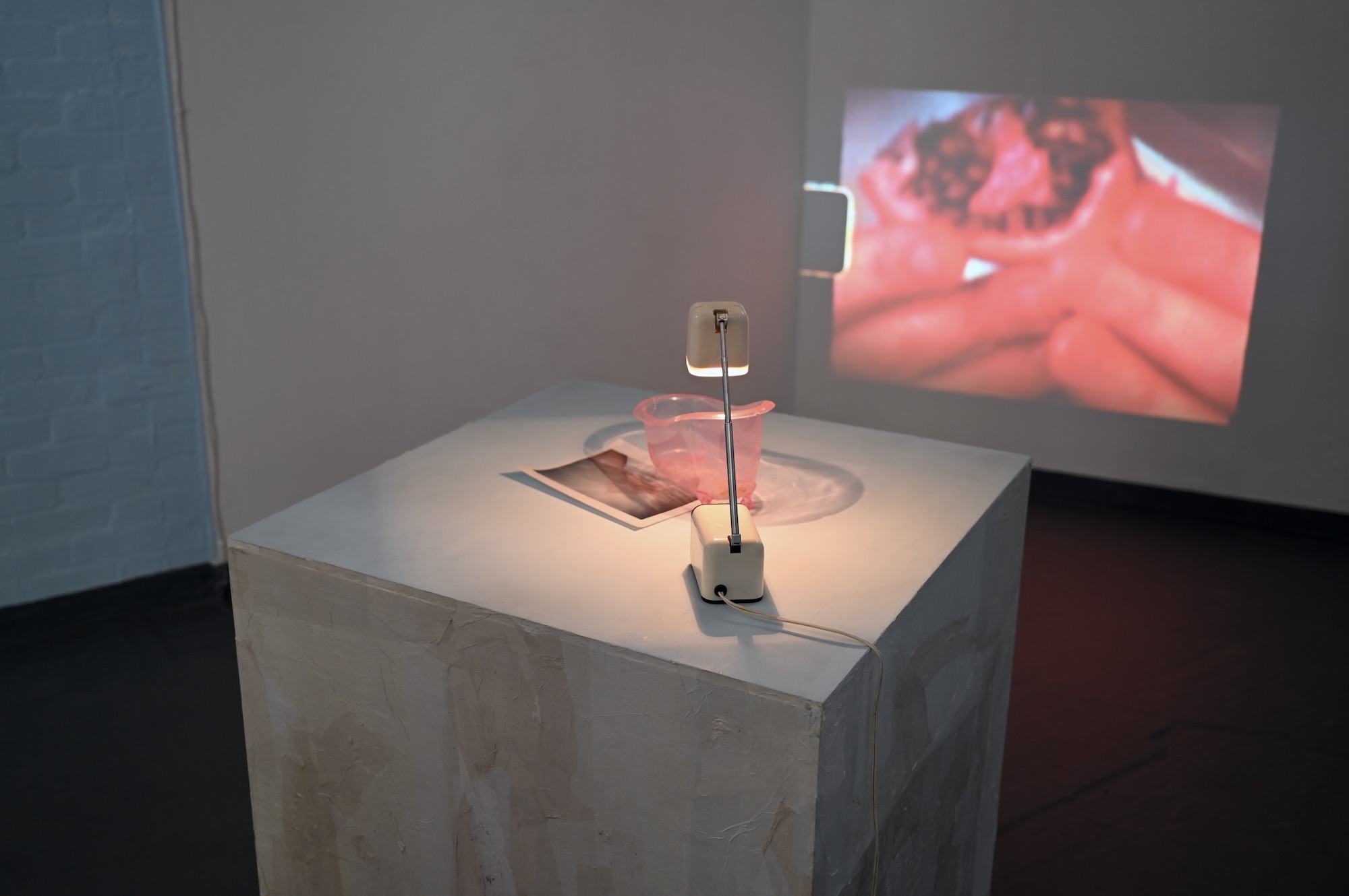 There is a large square plinth covered in papier-mache on the sides and painted light blue on the top. There is a desk lamp sitting on top of the plinth. The lamp is pointing down on a minature bathtub which has a photograph underneath it. On the right of the plinth is a projection of a video still of hands holding a pomegranate. On the left of the plinth is the back wall of the gallery which is a brick finish painted in a slightly darker light blue.