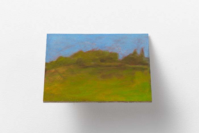 A small oil painting of an imaginary park with nothing but trees, grass and the sky portrayed. The painting is hung on a 45 degree angle and on a white wall. The painting consists of soft translucent layers.