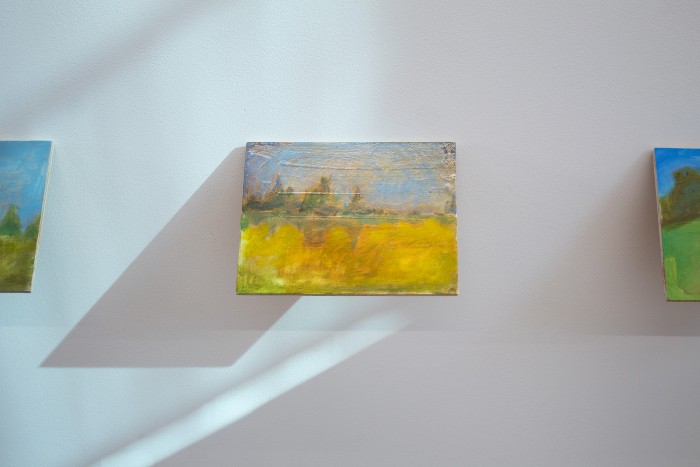 A small oil painting of an imaginary park with nothing but trees, grass and the sky portrayed. The painting is hung on a 45 degree angle and on a white wall with the evening sun shining onto the paintings. The painting consists of soft translucent layers.
