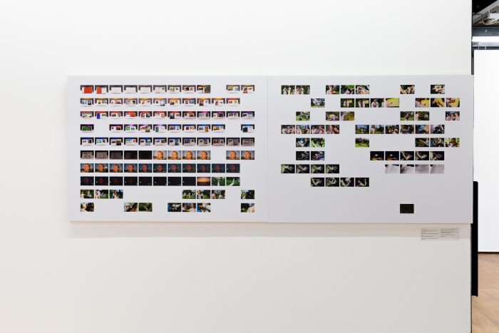 A broken grid of many photographs created in response to the scripts in the title.