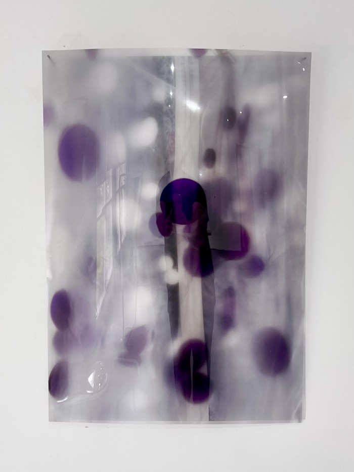 The scan,  colour image printed on plastic by Jonathon Harris