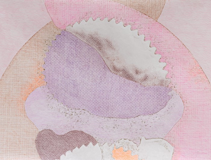 A cropped close-up of a drawing on paper featuring textured, overlapping organic shapes in pink, purple, brown and orange.